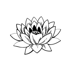 Black and White Lotus Flower Illustration