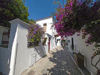 The Old town of Skiathos, Sporades, Thessaly, Greece