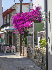 The Old town of Skiathos, Sporades, Thessaly, Greece