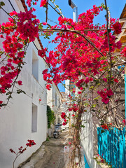The Old town of Skiathos, Sporades, Thessaly, Greece