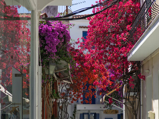 The Old town of Skiathos, Sporades, Thessaly, Greece