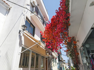 The Old town of Skiathos, Sporades, Thessaly, Greece