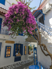 The Old town of Skiathos, Sporades, Thessaly, Greece