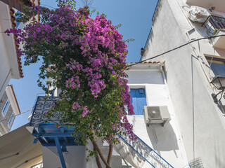 The Old town of Skiathos, Sporades, Thessaly, Greece