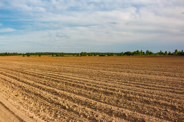 Agricultural field plowed and prepared for sowing crops