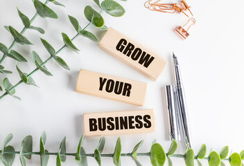 Grow your business text on wooden blocks with pens, eucalyptus and office clips on white background