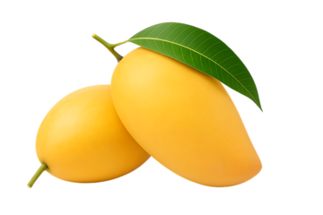 Juicy golden mangoes with a fresh green leaf—radiating tropical sweetness and summer vibes. Perfect for food, wellness, or seasonal designs. A must-have visual treat—download now!
