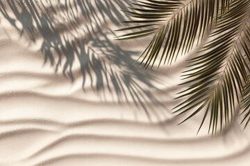 Obraz premium Palm leaves on sand background