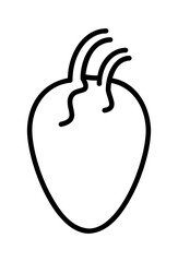 Simple outline drawing of a human heart.
 Stylized anatomical heart icon, minimalist design.
