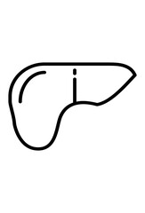 Outlined liver icon.
 Simple anatomical liver drawing.
 Stylized human liver illustration
