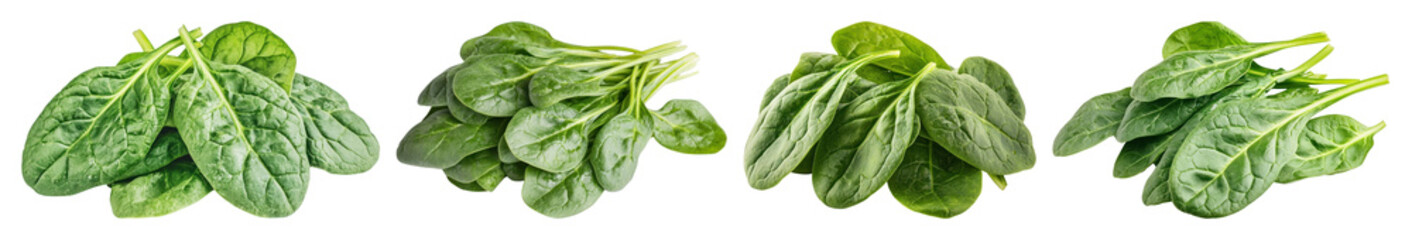 Fototapeta premium PNG Fresh green spinach leaves arranged, element set on transparent background