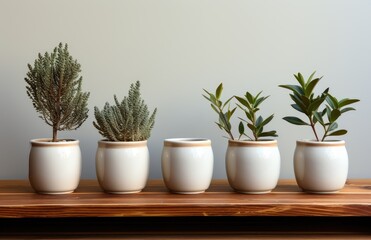 Fototapeta premium A beautiful arrangement of various indoor plants in white ceramic pots, showcasing the harmony of nature with sleek, modern design that adds a touch of freshness to any space.