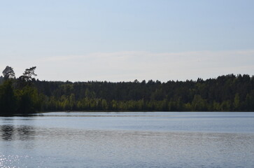 Forest lake under the clouds. On a sunny summer day, small cirrus clouds hang in the light blue sky. Below them is a lake with blue transparent water. A coniferous forest grows on the shore of lake.
