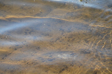 Transparent water of a forest lake. Wavy surface of water in the rays of the setting sun. Sandy bottom is visible through the water. Sun rays penetrate into water in curved lines .