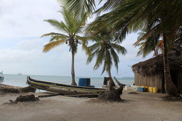 tropical beach with coconut trees