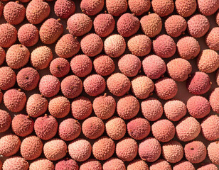 Lychee stil llife photograph