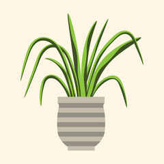 green plant in pot