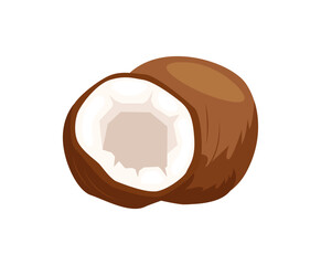 Coconuts and coconut half with leaves isolated on a white background. Vector illustration cartoon flat coconut icon isolated on white background.