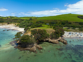 People enjoy a summer day swimming and relaxing on a scenic beach with a rocky island and green hills in Tawharanui, Warkworth, Auckland, New Zealand