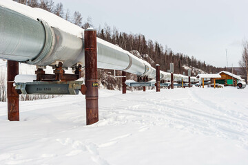 The Alaskan Oil Pipeline Covered in Snow, Fairbanks, Alaska, USA