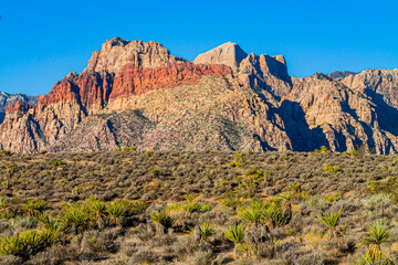 Fototapeta premium Mojave Desert Landscape With The Rainbow Mountains, Red Rock Canyon National Conservation Area, Nevada, USA