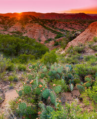 Sunset On The Red Walls of The Canyon, Caprock Canyon State Park, Quitaque, Texas, USA