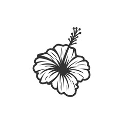 Tropical Hibiscus Drawing - Seamless Floral Pattern
