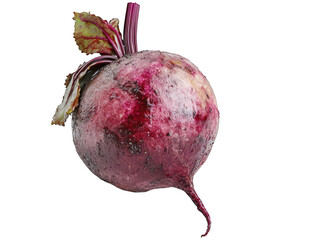 Single beet with leaves, shot close up on black background