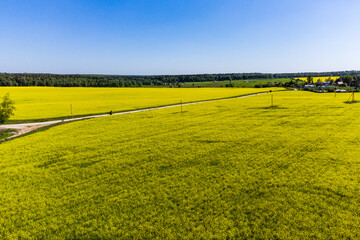 Obraz premium Aerial view of colorful yellow farm fields, rapeseed planting in countryside