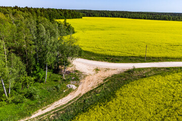 Top view of a fork in a country road surrounded by yellow rapeseed fields