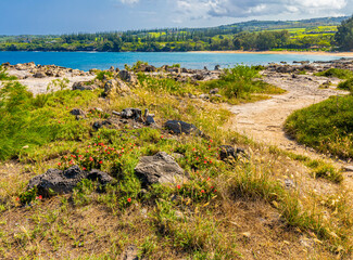 Pathway on Makaluapuna Point, Kapalua Coastal Trail, Kapalua, Maui, Hawaii, USA
