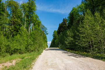 Gravel road going uphill through forest