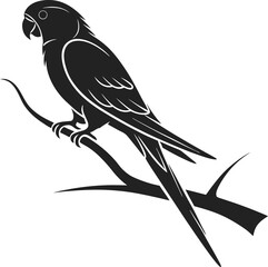 Obraz premium parakeet black silhouette vector illustration