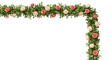 Elegant corner rose garland with peach and coral roses isolated on white background