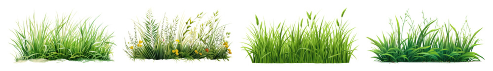 Fototapeta premium PNG Lush green grass illustrations variety, element set on transparent background