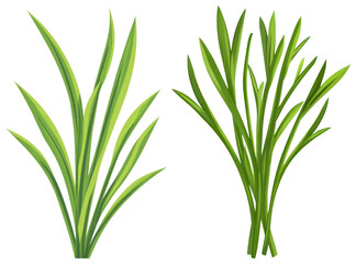PNG Vibrant green plant illustrations, element set on transparent background
