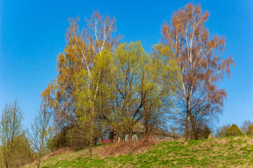 Country house on a hill surrounded by deciduous trees