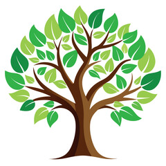 Obraz premium Leafy Tree with Curved Branches – Line Vector Style