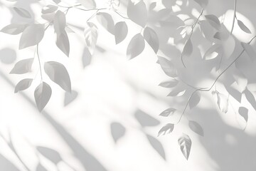 Elegant White And Gray Leaves Shadow Pattern Background