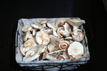 mushrooms in a basket