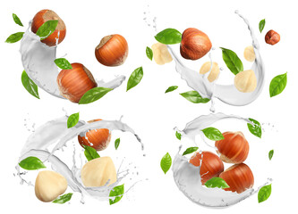 Nut milk splashes with hazelnuts and green leaves in air on white background, collage