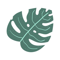 Illustration of a Monstera Leaf