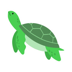 Illustration of a Green Sea Turtle