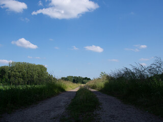 Fototapeta premium road in the field