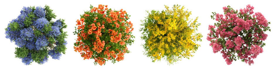 PNG Vibrant colorful floral arrangements, element set on transparent background
