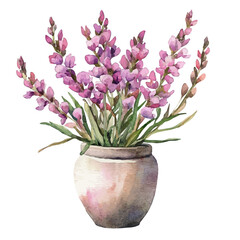 A Fringed Polygala In A Vase, watercolor painting vector, high quality, isolated on a white background.