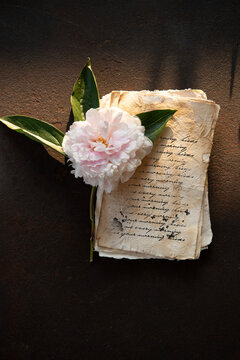 Pink Peonies and handwritten letters on handmade paper