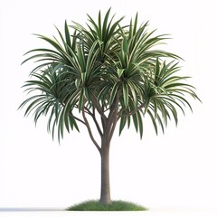 Fototapeta premium Lush Green Tree Silhouette. Botanical Foliage for Sustainable Landscaping and Natural Outdoor Harmony
