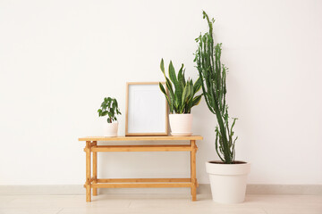 Big cactus with painting, houseplants and table near white wall in room