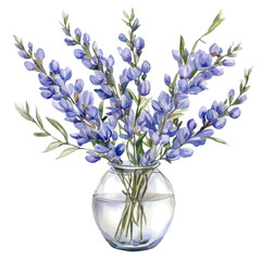 A False Indigo In A Vase, watercolor illustration vector, high quality, isolated on a white background.